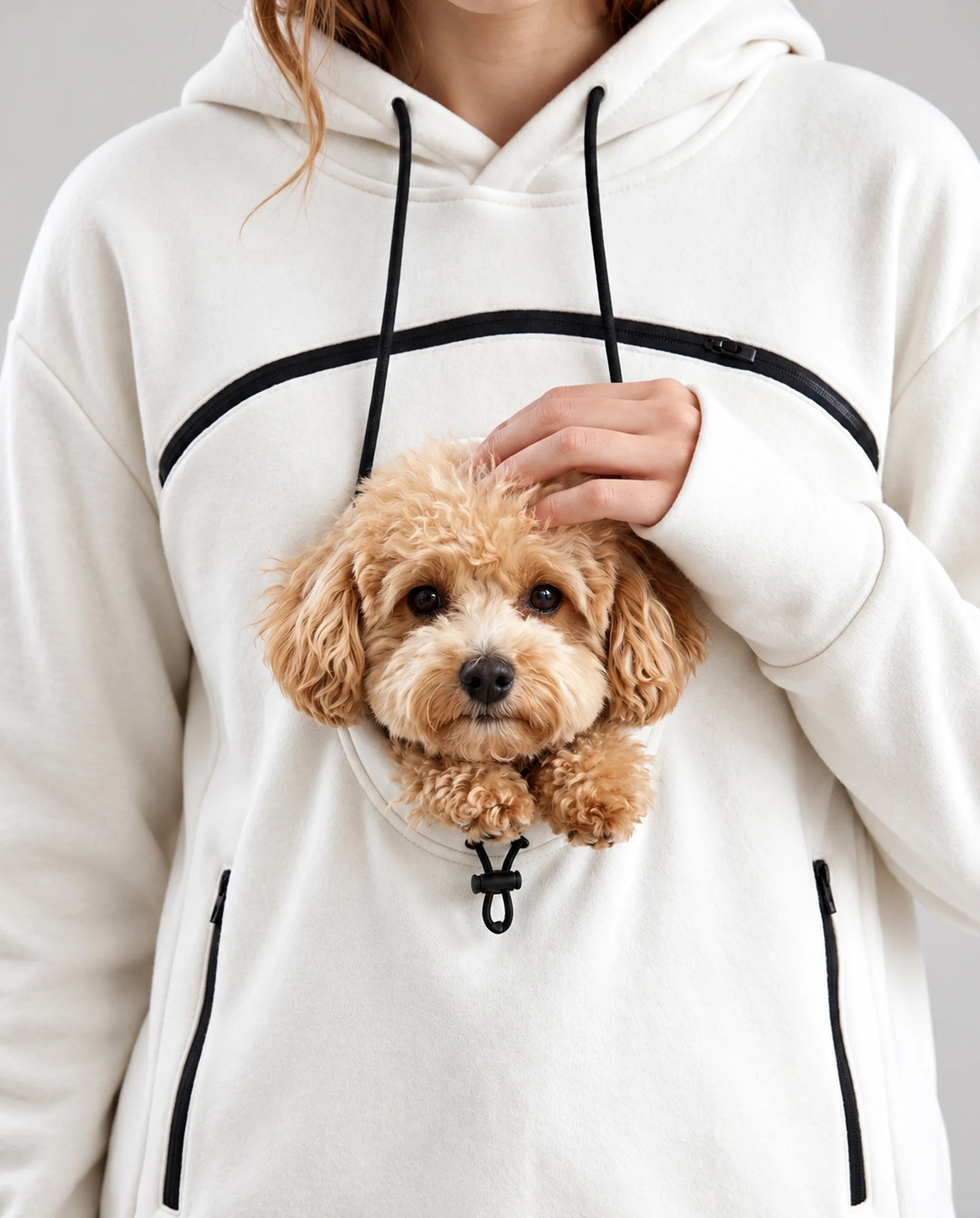 Puppy peeking out of the pouch